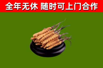 岳塘烟酒回收冬虫夏草.jpg